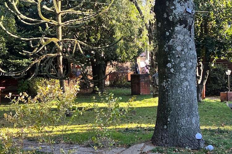 Venta complejo de cabañas en pucón. - Imagen 5