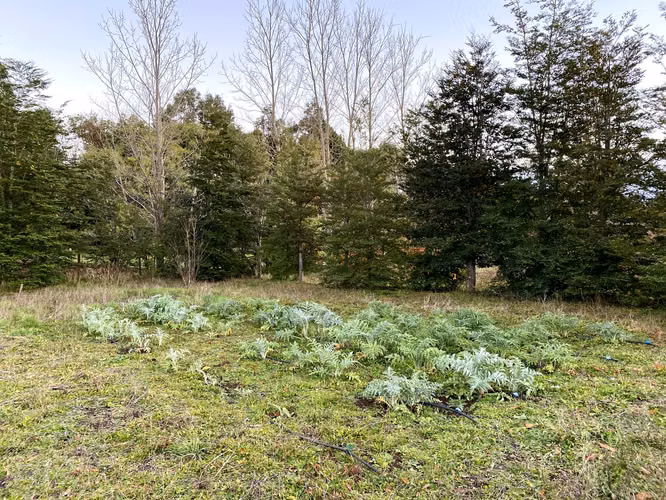 Campo 2,2 ha casa, bodega 246 m2 y agua inscrita