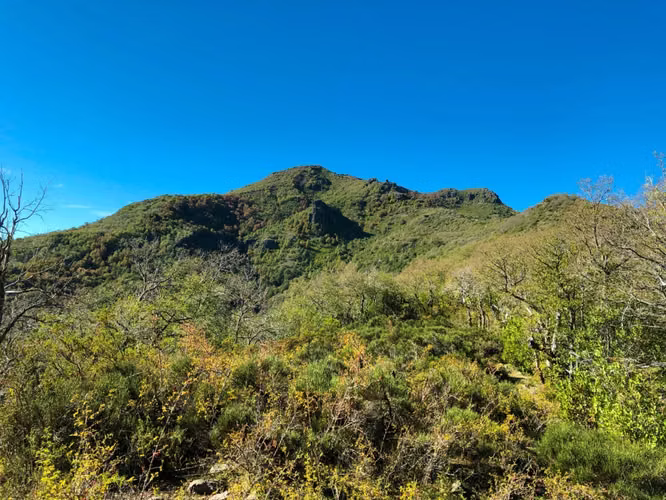 Venta de Fundo en Quilleco Región del Biobio