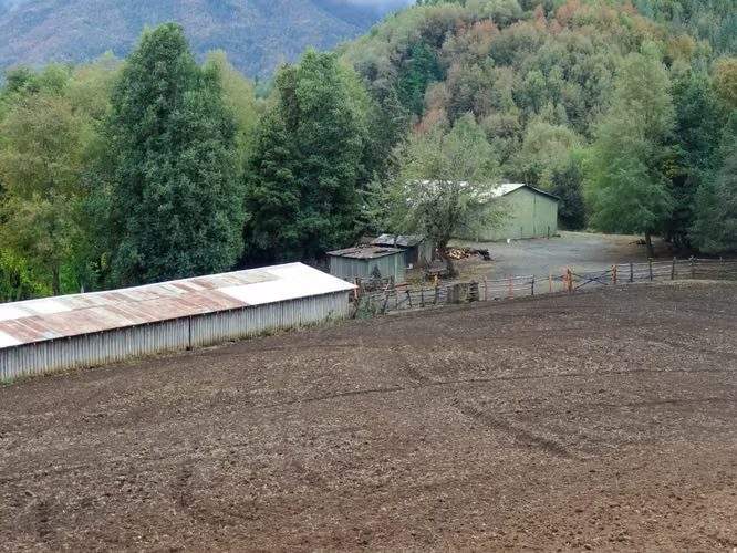 Venta de Fundo en Quilleco Región del Biobio