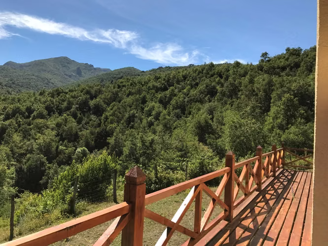 Venta de Fundo en Quilleco Región del Biobio
