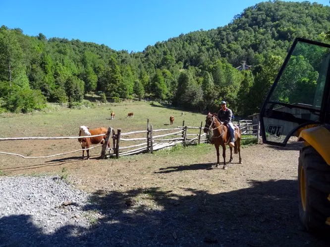 Venta de Fundo en Quilleco Región del Biobio