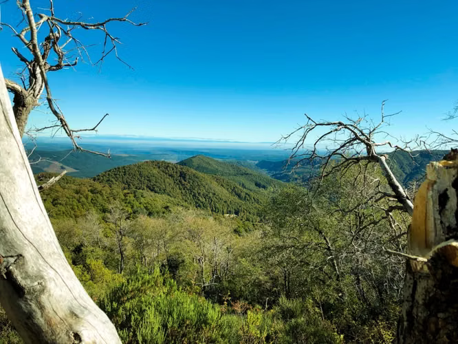 Venta de Fundo en Quilleco Región del Biobio