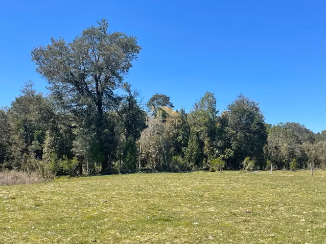 Parcelas en venta - Cumbre Maullin - Imagen 2