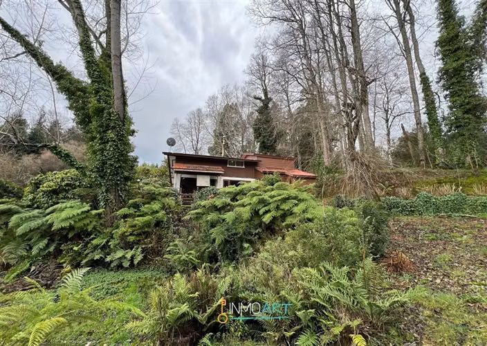 Parcela en Venta en Pitrufquén - Imagen 5