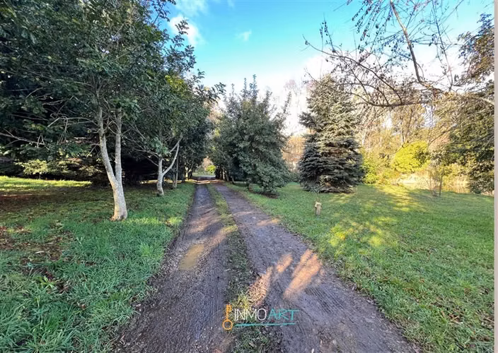 Parcela en Venta en Pitrufquén - Imagen 16