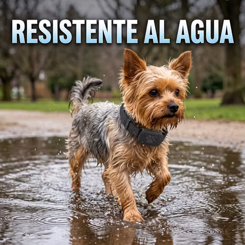 Collar Rastreador Gps Perro - Gato Airtag - Android / Apple - Imagen 7