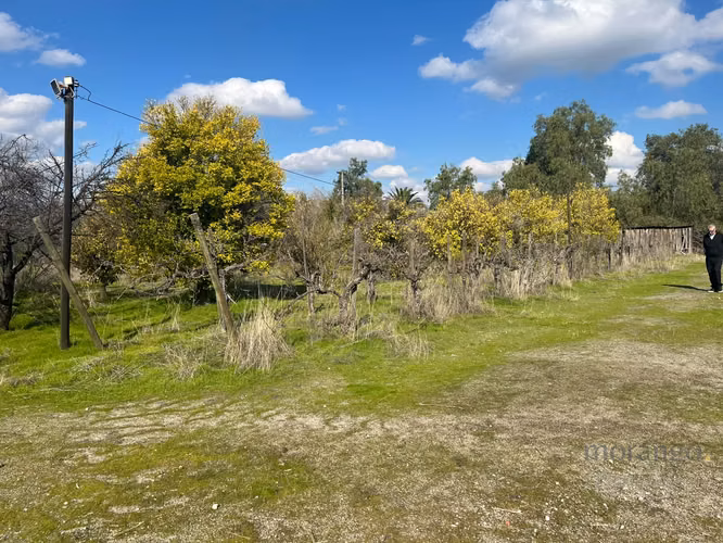 GRAN OPORTUNIDAD VENTA DE PARCELA  5.000M - Imagen 20