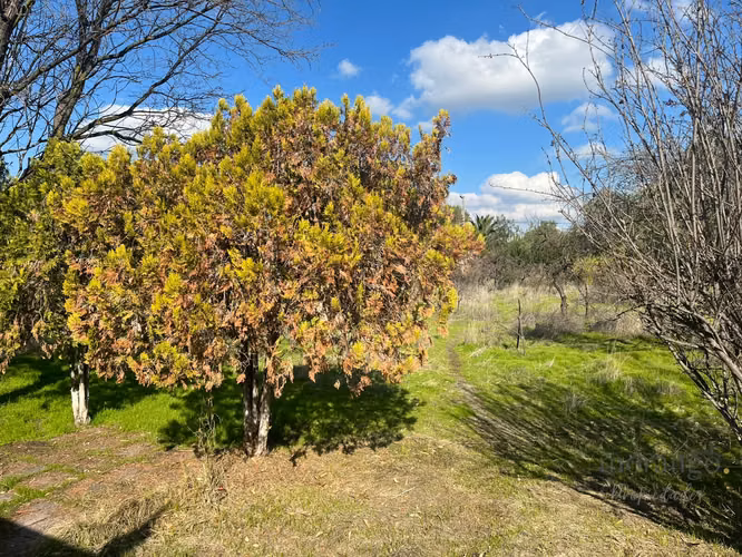 GRAN OPORTUNIDAD VENTA DE PARCELA  5.000M - Imagen 22