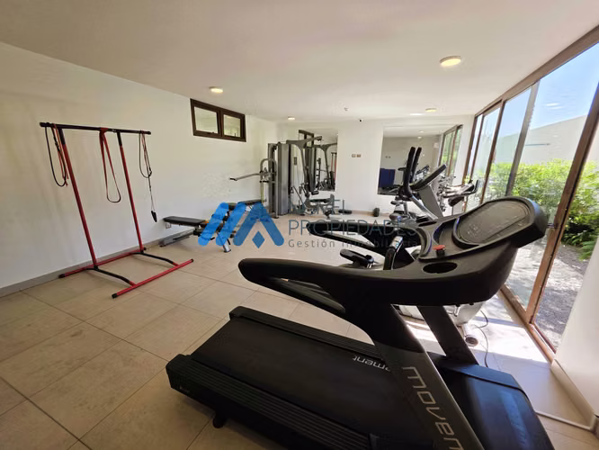 Seminuevo, Mall Sport (182263) - Imagen 24