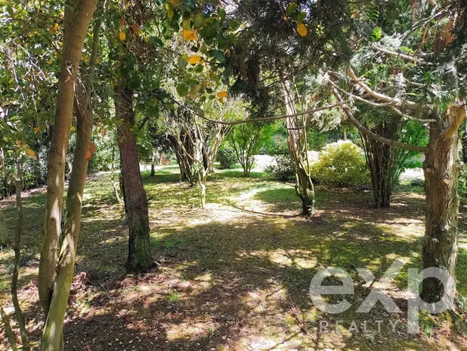 OLMUÉ parcela vende. Céntrica. 2 casas, gran jardin, agua.
