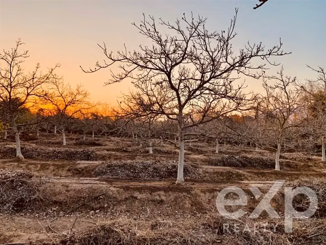 OLMUÉ parcela vende. Céntrica. 2 casas, gran jardin, agua.