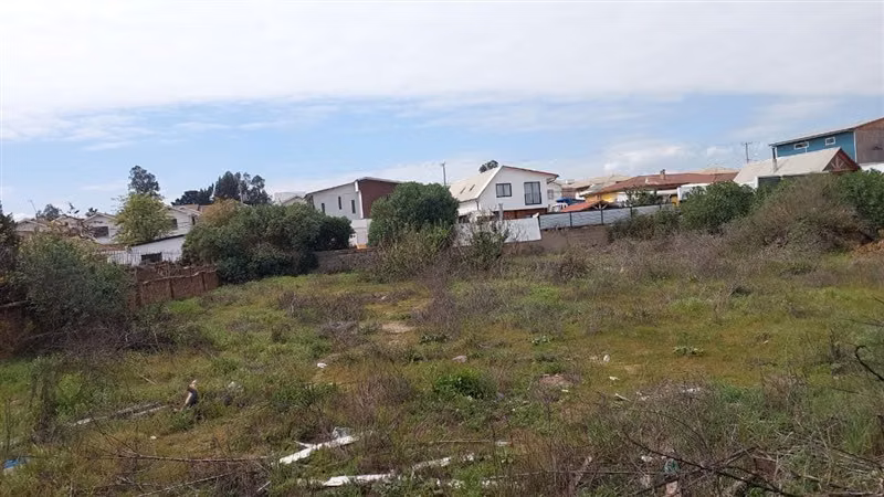 Sitio en arriendo en Quilpué - Imagen 6