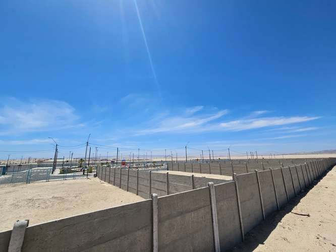 Coral de Bahía Inglesa | Espacio Real Frente al Mar