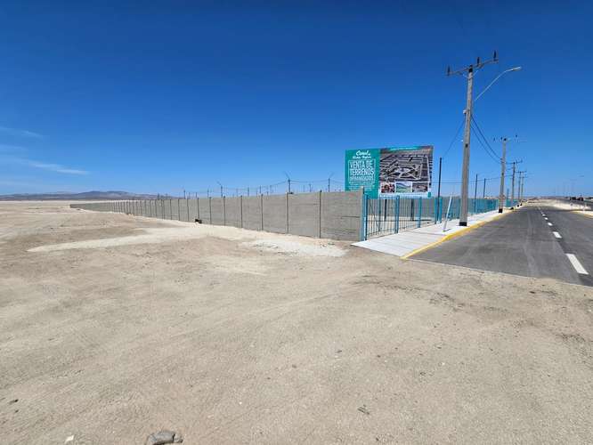 Coral de Bahía Inglesa | Espacio Real Frente al Mar
