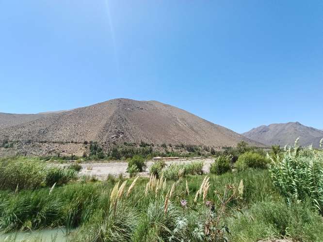 Oportunidad de Inversión punto estratégico a orilla de carretera, Peralillo