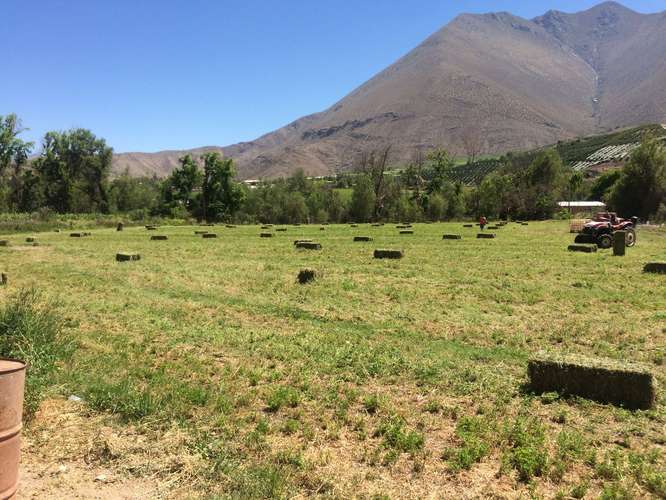 Excelente oportunidad!!! Parcela Peralillo, Vicuña