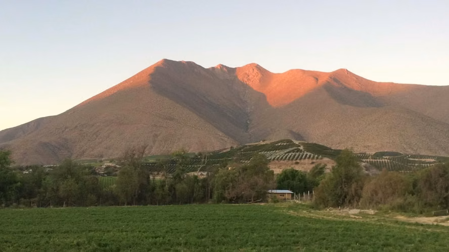 Precio rebajado, Hermosa parcela Peralillo, Vicuña