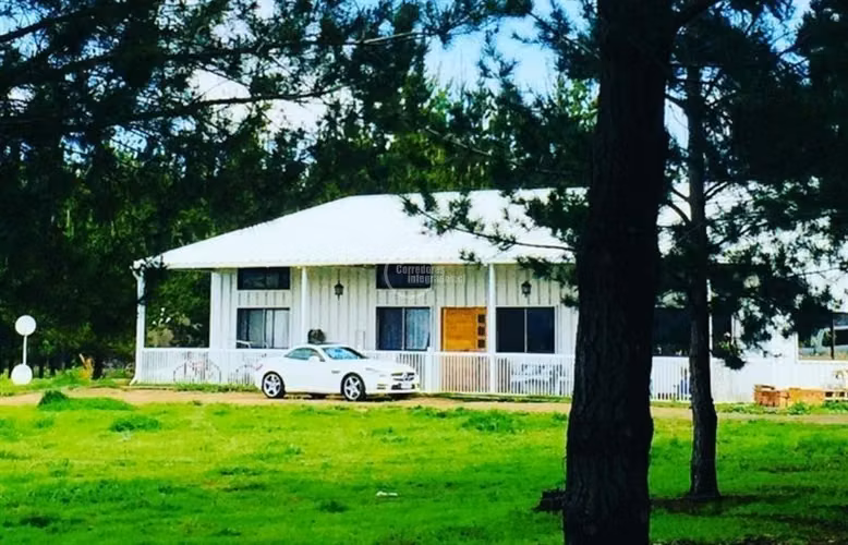 Agrícola en Arriendo en Lolol