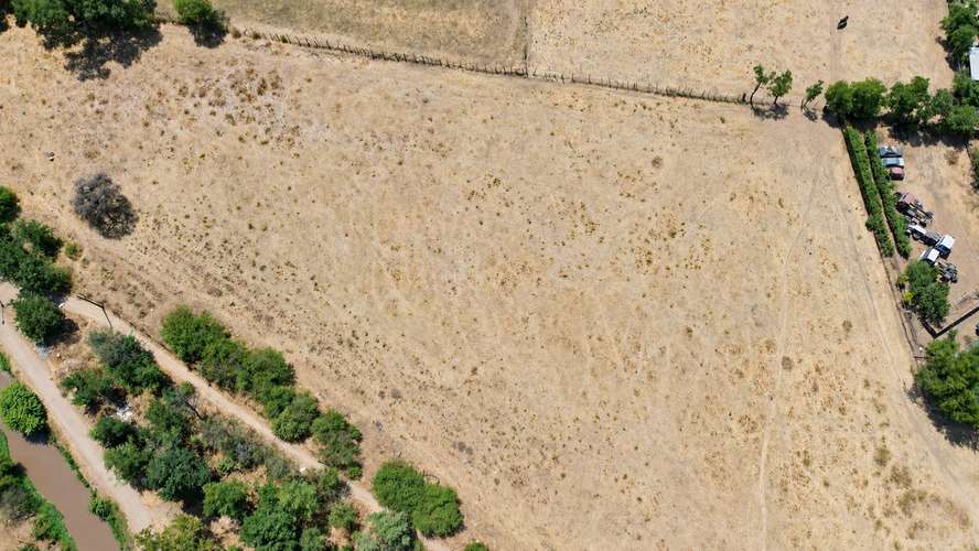 6 parcelas de 2.000 m2 en María Pinto (182217)