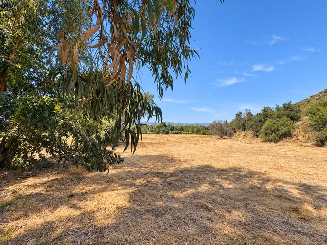 6 parcelas de 2.000 m2 en María Pinto (182217)