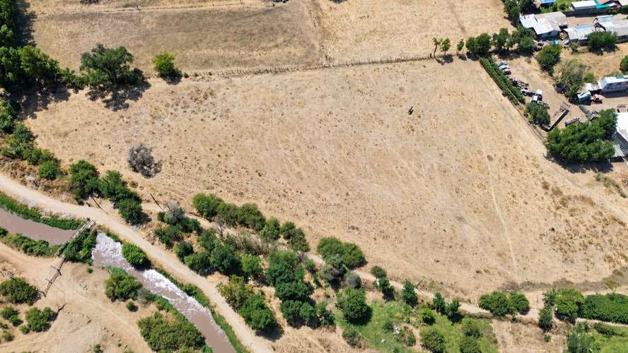 6 parcelas de 2.000 m2 en María Pinto (182217)