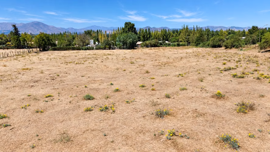6 parcelas de 2.000 m2 en María Pinto (182217)