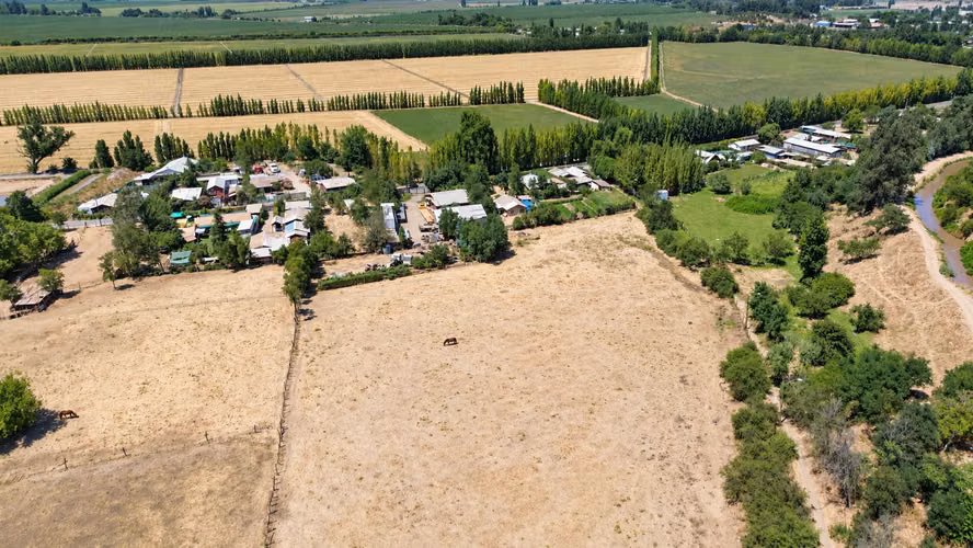 6 parcelas de 2.000 m2 en María Pinto (182217)