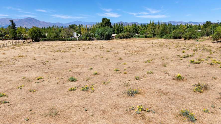 6 parcelas de 2.000 m2 en María Pinto (182217)