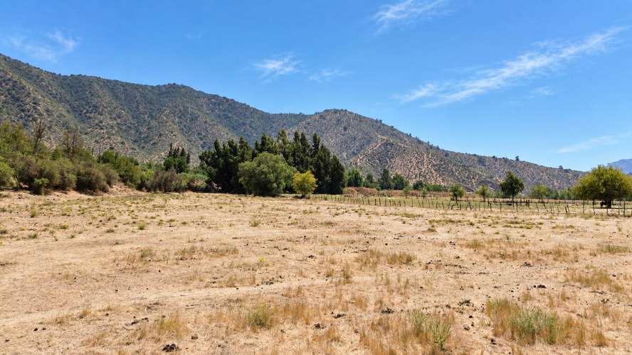 6 parcelas de 2.000 m2 en María Pinto (182217)