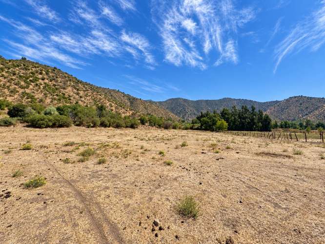 6 parcelas de 2.000 m2 en María Pinto (182217)