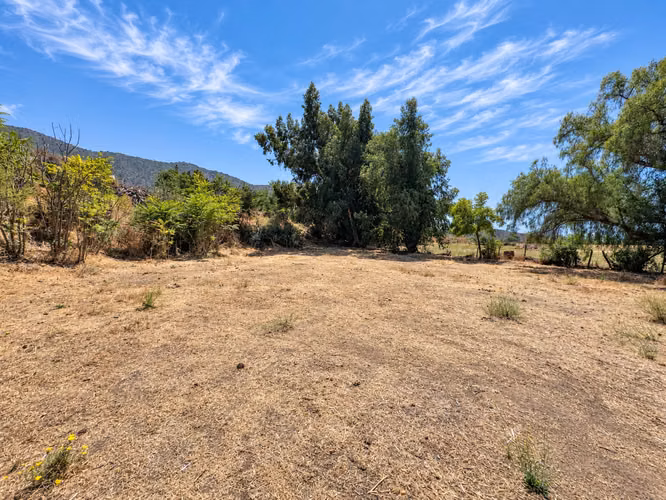 6 parcelas de 2.000 m2 en María Pinto (182217)