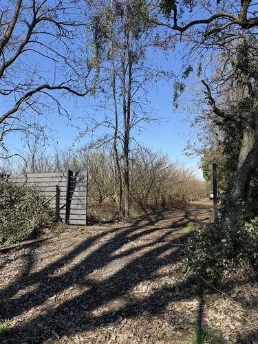 Sitio en venta en Coihueco #261042