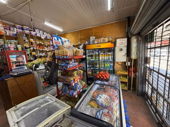 VENTA DE BOTILLERIA MINIMARKET A PUERTA CERRADA CON PATENTES - Imagen 14