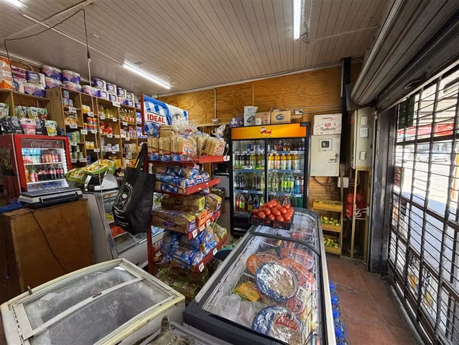 VENTA DE BOTILLERIA MINIMARKET A PUERTA CERRADA CON PATENTES - Imagen 19