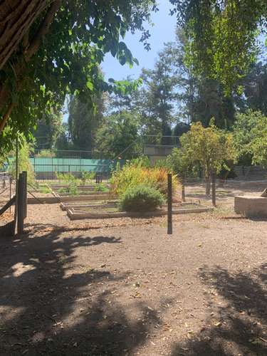CERCANA COLEGIO KIMEN - PUCALAN - PUMAHUE - TRREWHELAS - SAN NICOLAS DE DIACONO 
