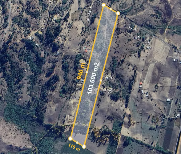 Campo Con Excelente Casa Y Bosque Eucalipto - Cercano Yumbel