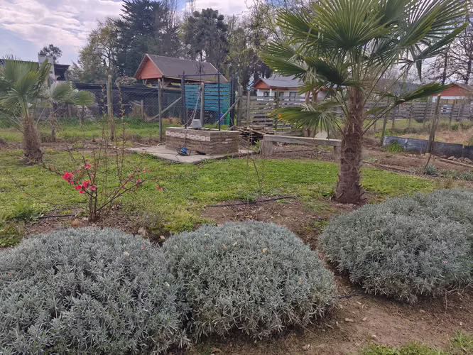 SE VENDE HERMOSA Y ESPACIOSA PARCELA EN RUTA J-55 ROMERAL, REGIÓN DEL MAULE.