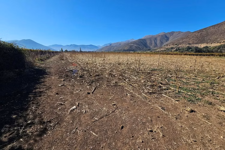 Investment opportunity in catemu: 10.4 acres /agricultural & solar potential