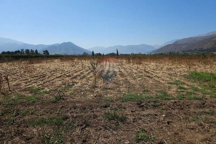 Investment opportunity in catemu: 10.4 acres /agricultural & solar potential