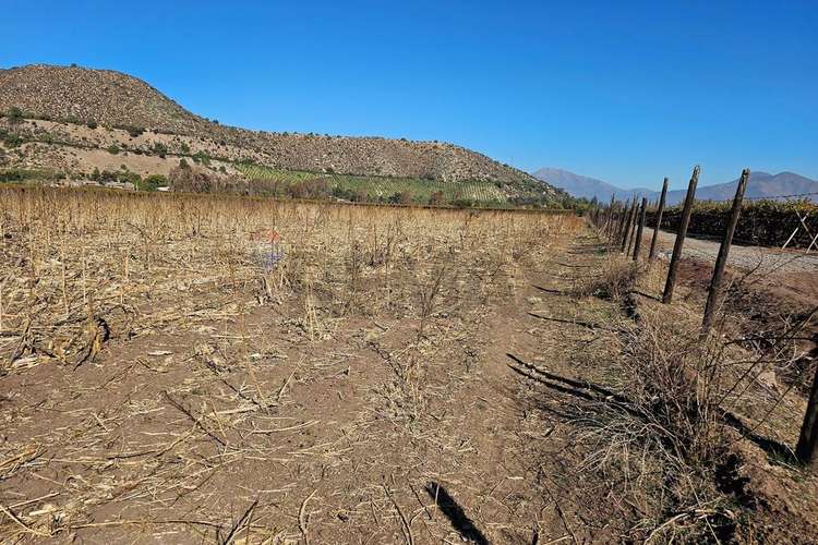 Investment opportunity in catemu: 10.4 acres /agricultural & solar potential