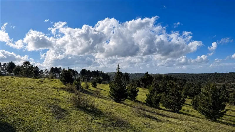 HERMOSAS PARCELAS A MINUTOS DE CONCEPCIÓN EN FLORIDA 5000M2