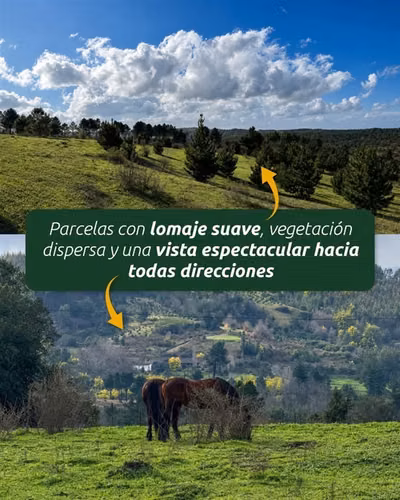 HERMOSAS PARCELAS A MINUTOS DE CONCEPCIÓN EN FLORIDA 5000M2