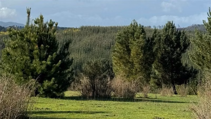 HERMOSAS PARCELAS A MINUTOS DE CONCEPCIÓN EN FLORIDA 5000M2