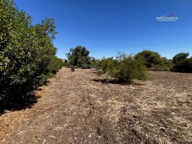 Sitio en Venta Las Brisas de Chicureo, Colina (182149) - Imagen 15