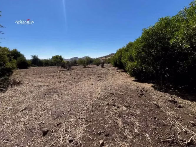 Terreno plano 6.433 m2 en comunidad cerrada (182149) - Imagen 14