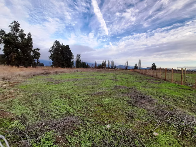 Vende Terreno Loteo Hacienda Requínoa (182365)