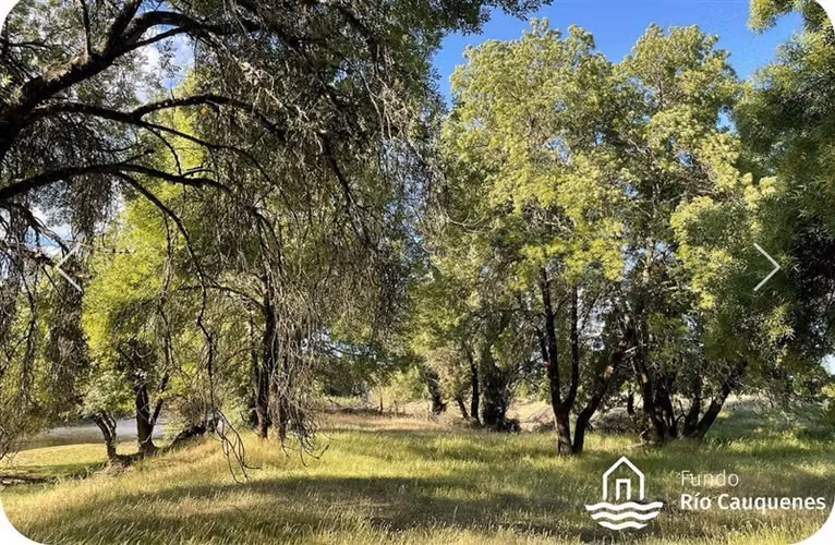Parcela en venta en Cauquenes - Imagen 9