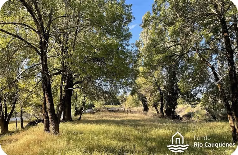 Parcela en venta en Cauquenes - Imagen 11
