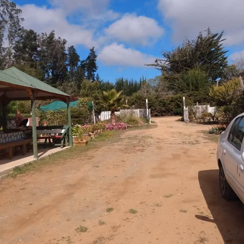 PARCELA AUTOSUSTENTABLE 5500 M2 188 M2 CONS ARBOLES Y PLANT - Imagen 11